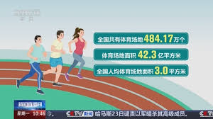 BB贝博艾弗森官网 乒乓球台架子尺寸
